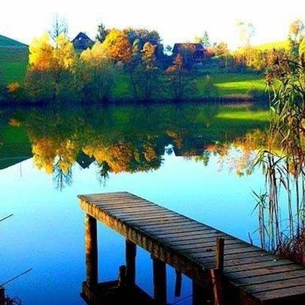 Meet your Posher, Renee